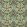 Woodbell & Anemone Wallpaper Bayleaf/Manilla