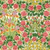 Campanula Wallpaper Sunburst