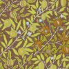 Fruit Wallpaper Chocolate