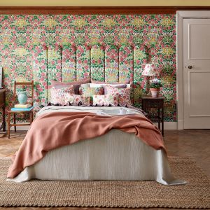 Campanula Wallpaper Sunburst