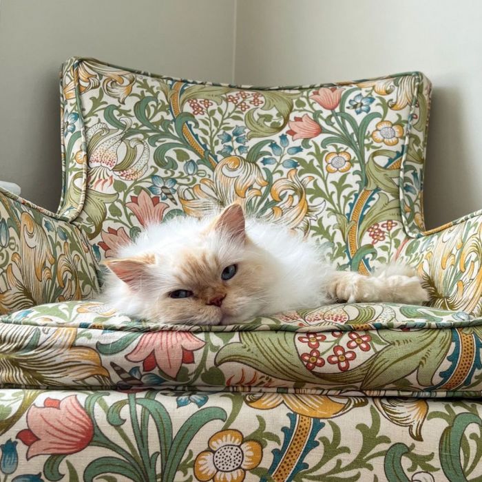 Explore Golden Lily at Morris & Co. the home of William Morris